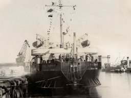 escanear0182