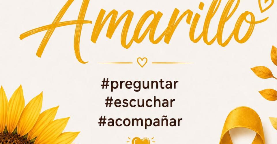 Noticias